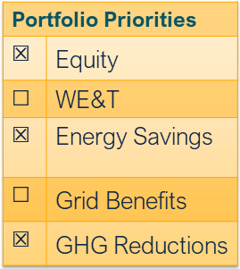 Portfolio priorities for induction cooktops: equity, energy savings, and GHG reductions